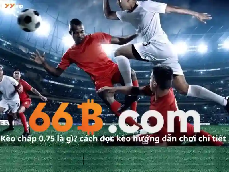 66b: Khái niệm, ứng dụng và tương lai