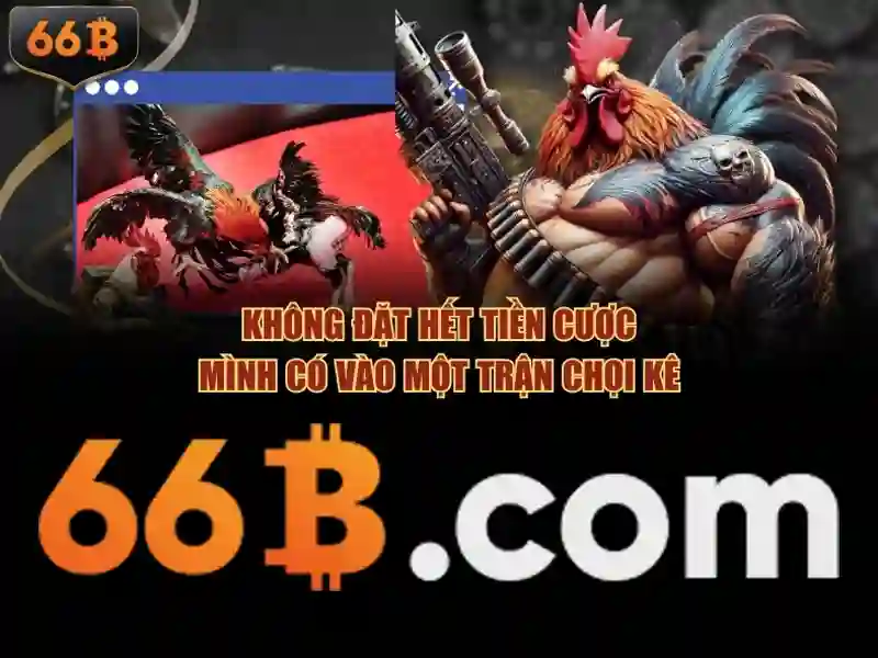 '66b it act in hindi tổng quan'