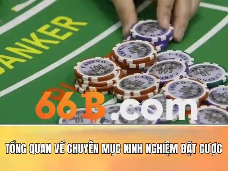 Ứng dụng và thách thức