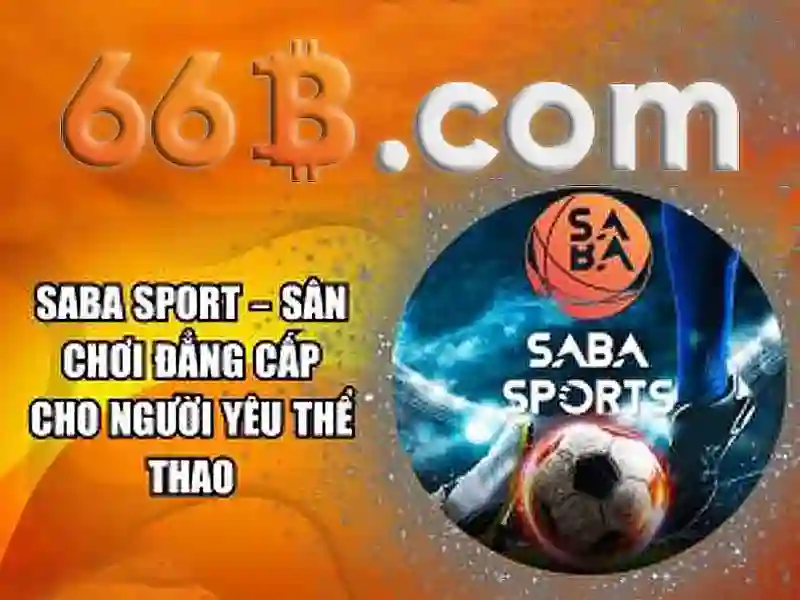 66B: Khái niệm, kích thước và ứng dụng