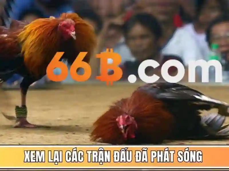 66b-trieu-khuc-thanh-xuan-ha-noi-nguon-cam-hung-di-san