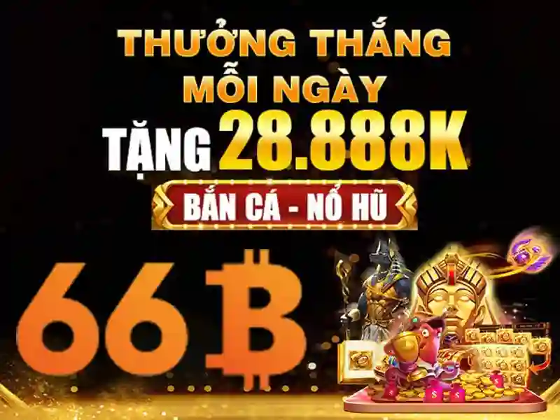 66b nguyễn sỹ sách p15 – Khám phá giá trị và ứng dụng nổi bật