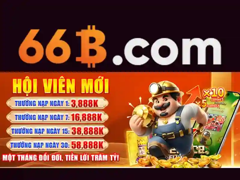 Sản phẩm và dịch vụ chính: ứng dụng thực tế của 66b nguyen sy sach tan binh